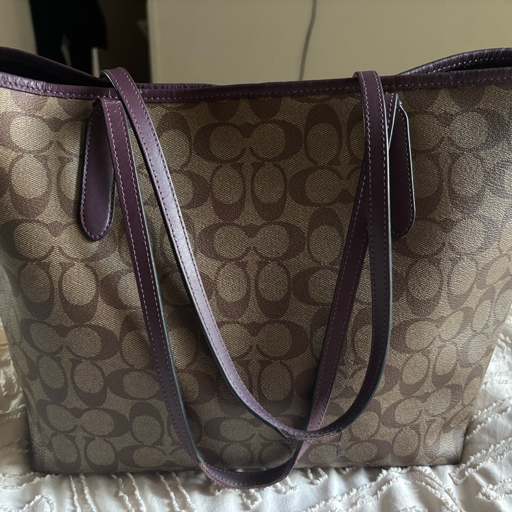 Coach Brown and Purple Signature Tote Bag
